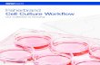 Fisherbrand Cell Culture Workflow...Cell Culture Flasks, Dishes and Plates Fisherbrand™ Surface-Treated Sterile Tissue Culture Flasks Perfect for cell growth, these flasks feature