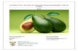 A PROFILE OF THE SOUTH AFRICAN AVOCADO MARKET VALUE … · Avocado production in South Africa is an export-oriented industry, aimed primarily at the European market. The production