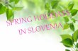 Spring holidays in Slovenia - ARNESoshorjul.splet.arnes.si/files/2014/12/SPRING_HOLIDAYS_Francija_Vit… · Easter and in the morning on Easter Day •People visit their family and