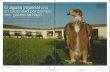 El proyecto Life en Castilla La Mancha: conservación de ...2).pdf · minación artificial (2003) o de los primera águila real y los primeros halcones de Eleonor (Falco eleonorae)