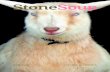June 2018 Full Issue - Stone Soup · 2019. 7. 4. · STONE SOUP / JUNE 3024 5 There once was a land. So far and fine, Full of dreams and thoughts. The place people came when they