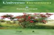 Universo Tucumano 13 - Erythrina crista-galli (Asesor) · Detalle de la flor. Fotografía: P. N. Asesor. Universo Tucumano Nº 13 – Setiembre 2018 6 La corteza fina y viscosa tiene