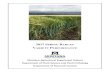2017 SPRING BARLEY - Montana State University Variety...hannah.turner2@montana.edu Table of Contents Barley Information .....1-2 District 1 Kalispell Dryland (High Rainfall) .....