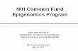 NIH Common Fund Epigenomics Programcommonfund.nih.gov/sites/default/files/SatterleeCouncilofCouncils... · Richard Piekarz Genevieve NCI deAlmeida-Morris NIDA Kristi Pettibone NIEHS