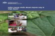 Cẩm nang chẩn đoán bệnh cây ở Việt Nam · 2020. 6. 3. · bệnh do nấm ở rễ và thân cây. Những bệnh này thường ẩn, không biểu hiện triệu chứng