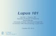 Lupus 101 - b.3cdn.net• SLE is a chronic autoimmune disease • Autoantibodies and immune dysregulation • Wide variety of clinical presentation including skin, kidney, heart, nervous