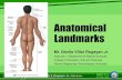 Anatomical Landmarks - AGHAMAZING GURO...Anatomical Directions •There are many different terms, and some can be used interchangeably. As you learn these directional terms, it is