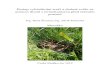 Metodika - eAGRIeagri.cz/public/web/file/654037/Metodika_srncata.pdf · 2020. 6. 18. · Metodika se týká ochrany volně žijící zvěře na zemědělsky využívaných pozemcích