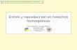 Estrés y reproducción en helechos homospóreos€¦ · II Taller sobre Conservación de Pteridófitos en Andalucía Athyrium filix-femina Dryopteris affinis 1 µmol m-2 s 1 1,5