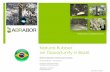 Natural Rubber an Opportunity in Brazil. · of national security. So, producing natural rubber in Brazil becomes imperative. • Now, seize the Brazilian natural rubber production