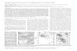 Triggering of destructive earthquakes in El Salvadorgrupos.topografia.upm.es/sismo/data/1Mart%EDnez-D%EDaz%2C%C… · 66 GEOLOGY, January 2004 Figure 2. Radar–Shuttle Radar Topography