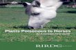 Plants Poisonous to Horses...Phone: 02 6272 4819 Fax: 02 6272 5877 Email: rirdc@rirdc.gov.au Web: Published in June 2006. Publication design and graphics by Mellisa Offord. Cover design