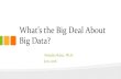 Whatâ€™s the Big Deal About Big Data? Whatâ€™s the Big Deal About Big Data? Natasha Balac, Ph.D. Jun,
