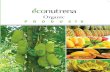 Econutrena | Coconut Product Manufacturer | Sri Lanka · Health benefits of pineapple Immune system support Bone strength Eye health Anti-inflammatory ORGANIC Pineapple Chunks in