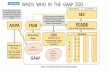 OVERVIEW WHO’s WHO IN THE GAAP ZOO - GFOAA · C-ECFE. Special Agent. Alabama Attorney General’s Office, Special Prosecutions Division. 2. TAKEAWAYS Things are rarely as they appear