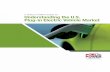 A PUBLIC POWER GUIDE TO Understanding the ... - Electric …...Plug-in Electric Vehicle Market ... market growth, stakeholder engagement, and managing ... (PHEVs), collectively known