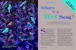 By Tom Anderson Whats · 2007. 2. 14. · March–April 2007 27 As the spring chorus begins, listen to learn which birds are singing and why. By Tom Anderson ... song sparrows. By