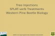 Tree Injections SPLAT-verb Treatments Western Pine Beetle ...SPLAT-verb Treatments Western Pine Beetle Biology USDA is an equal opportunity employer and provider. Evaluation of Stem-injected