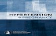 Hypertension In Pregnancy - anestesia triveneto...on Hypertension in Pregnancy, composed of 17 experts in the fields of obstetrics, maternal–fetal medicine, hypertension, internal