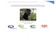 Programa de Conservación del Oso Andino en el Nor ... · en torno al oso andino, en el nor-occidente del DMQ, para favorecer la conservación de la especie, recuperar su hábitat