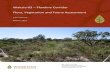 Waitsia-03 Flowline Corridor Flora, Vegetation and Fauna ... · Waitsia-03 – Flowline Corridor . Flora, Vegetation and Fauna Assessment. AWE LIMITED . MARCH 2018. TEL. (08) 9315
