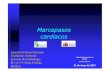 MARCAPASOS - Área Salud Badajoz€¦ · marcapasos Circuitos Batería El generador dEl generador de pulsose pulsos. El generador de pulsos Carcasa Titanio (biocompatible, ligero,