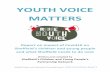 YOUTH VOICE MATTERS · Sheffield hildren and Young Peoples Partnership Network Youth Voice Matters Report 6 • Quiet – used to working in class with lots of other pupils, have