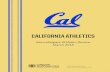 UNIVERSITY OF CALIFORNIA, BERKELEY...4 UNIVERSITY OF CALIFORNIA, BERKELEY INTERCOLLEGIATE ATHLETICS REPORT INTRODUCTION Collegiate Sports Associates (CSA) partnered with the University