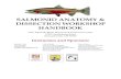 SALMONID ANATOMY & DISSECTION WORKSHOP HANDBOOKaccompanying illustrations for educational purposes only. HAVE FUN! External Anatomy Questions for Dissection 1. What is the first thing