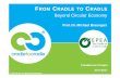 FROM CRADLE TO CRADLE Beyond Circular Economy · According to the EEA's Air quality in Europe - 2016 report, the toxic gas nitrogen dioxide (NO2) -released by vehicles and central