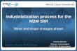 Industrialization process for the M2M SIM · Industrialisation process for the M2M SIM 5 World Class Standards Delivery form Clearly dominant delivery form for volumes in industrial