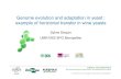 Genome evolution and adaptation in yeast : examplfhi tlt ... · Genome evolution and adaptation in yeast : examplfhi tlt fi i tle of horizontal transfer in wine yeasts Sylvie Dequin