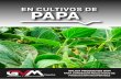 EN CULTIVOS DE PAPAgvm.com.ec/fichas/FT-PAPA.pdf · 2019. 6. 29. · fertilizantes edáficos y foliares para mejorar la asimilación de los fertilizantes. 3 - 5 veces por ciclo. Aplicar