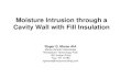 Moisture Intrusion through a Cavity Wall with Fill Insulation · 2018. 4. 4. · •Cavity insulation vermiculite pour insulation, which may contain asbestos. Typical Wall Construction.