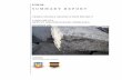 FINAL SUMMARY REPORT - The Aquatic Nuisance Species …SUMMARY REPORT ZEBRA MUSSEL ERADICATION PROJECT : LAKE OFFUTT OFFUTT AIR FORCE BASE, NEBRASKA NOVEMBER 2009 : Prepared for ...