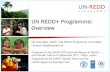 UN REDD+ Programme: Overvie · 2013. 11. 22. · UN REDD+ Programme: Overview Ms Lisa Ogle, UNDP / UN-REDD Programme, Consultant Contact: lisa@lisaogle.net Prepared for the UNDP/JICA