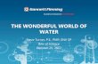 THE WONDERFUL WORLD OF WATER · 2019. 2. 12. · THE WONDERFUL WORLD OF WATER Steve Turner, P.E., PMP, ENV SP Bite of Science October 25, 2017
