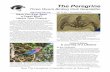The Peregrine3rbc.org/newsarch/newsjan17.pdfFive Birds” – the Hamerkop, Southern Ground Hornbill, Kori Bustard, Saddle-billed Stork, and Lappet-faced Vulture. “Big” refers