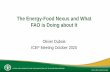 The Energy-Food Nexus and What FAO is Doing about It...Now 0.87 billion people are undernourished 1.3 billion people lack access to electricity 0.9 billion people lack access to safe