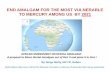 END AMALGAM FOR THE MOST VULNERABLE TO MERCURY …mercuryconvention.org/.../COP3/SE/SergeMolly-COP3.pdf · By Serge Molly, MC FP, Gabon . Dental Amalgam _Success stories on phase