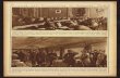 Framing and Presentation of Armistice Terms · Framing and Presentation of Armistice Terms £ b-eiS shown the framing of the armistice terms by the Interallied Conference at Versailles,