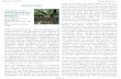 Tom Kimmerer · Venerable Trees: History, Biology, and Conservation in the Bluegrass Tom Kimmerer 2015. ISBN-13: 978-0- 8131-6566-0 Hardcover, US$39.95. 288 pp. University Press of