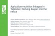 Agriculture-nutrition linkages in Tajikistan: Delving deeper into the … · 2019. 6. 7. · Results 2: Household agricultural production quantity and intra-household nutritional