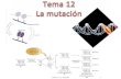 Tema 11: La mutación 1 - bioinformatica.uab.catbioinformatica.uab.cat/base/continguts/documents...Variación de novo •Variación por recombinación genética-> Barajamiento de la
