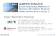 AMPED SENSOR - ARPA-E...AMPED SENSOR: Smart Embedded Network of Sensors with Optical Readout AMPED Meeting 2015, Chicago, IL Project Team Ajay Raghavan (PI), Peter Kiesel, Anurag Ganguli,