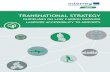 TRANSNATIONAL STRATEGY - Interreg · The Transnational Strategy is the third and final phase of the project, focusing on identifying actions for sustainable land transport and access