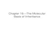 227The Molecular Basis of Inheritance.ppt)€¦ · Chapter 16—The Molecular Basis of Inheritance. I. DNA as the Genetic Material What was the transforming agent? Transformation