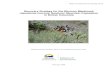 Recovery Strategy for the Mormon Metalmark (Apodemia mormo ... · Recovery strategy for the Mormon metalmark (Apodemia mormo), Southern Mountain population in British Columbia [electronic