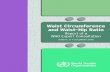 Waist Circumference and Waist-Hip RatioWaist Circumference and Waist–Hip Ratio: Report of a WHO Expert Consultation Geneva, 8–11 December 2008
