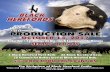 nnual PRODUCTION SALE - Black HerefordSaturday October 14, 2017 12:30 PM J&N Ranch, 25332 Wolcott Road, Leavenworth, Kansas FOR INFORMATION PHONE Joe Hoagland, 913-727-6446 Dirck Hoagland,